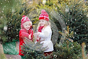 Kids buying Christmas tree