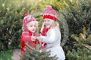 Kids buying Christmas tree