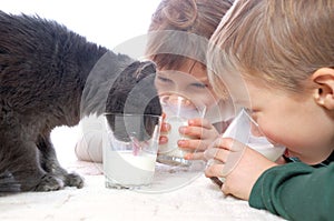 Kids and cat drinking milk together