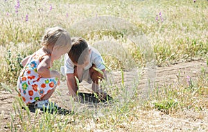Kids catching grasshoppers in grass