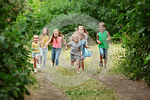   correre sul prato verde foresta infanzia un estate 