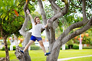 Kids climb tree in summer park. Child climbing