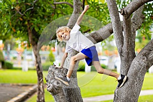 Kids climb tree in summer park. Child climbing