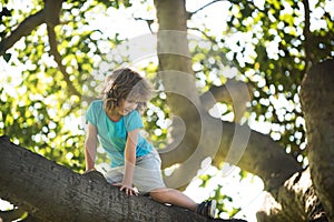 Kids climbing. Child boy climbs up the tree in park. Outdoor fun for kids in country side.