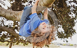 Kids climbing trees, hanging upside down on a tree in a park. Child protection. photo