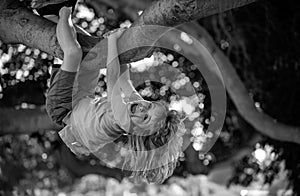 Kids climbing trees, hanging upside down on a tree in a park. Cute little kid boy enjoying climbing on tree on summer