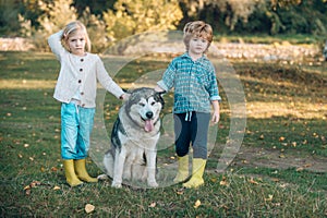 Kids with cute dog. Boy and girl playing with his dog on the lawn in the park. Full length portrait.