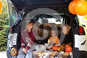 Kids dog celebrating Halloween in car trunk. Autumn holidays