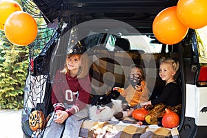 Kids dog celebrating Halloween in car trunk. Autumn holidays