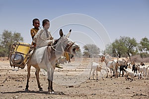 Kids on a donkey in Africa