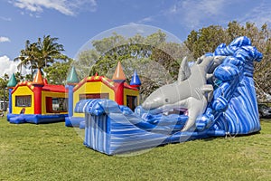 Kids dream of a bounce house party at the park