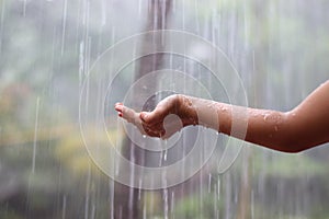 Kids Drizzling hands in rain water