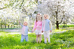 Kids on Easter egg hunt in blooming garden.