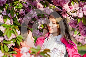 Kids enjoying cherry blossom. Pink is our favorite. Flowers soft tender bloom. Children enjoy spring garden. Sakura