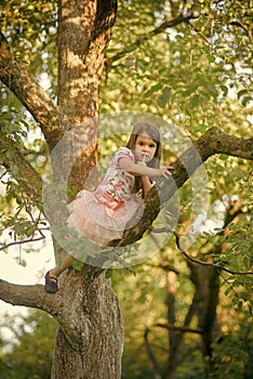 Kids enyoj happy day. Fashion child in fashionable dress hide on tree, secrecy