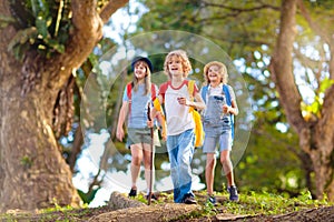 Kids explore nature. Children hike in sunny park