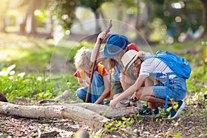 Kids explore nature. Children hike in sunny park