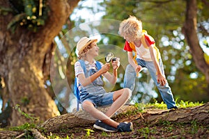 Kids explore nature. Children hike in sunny park