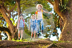 Kids explore nature. Children hike in sunny park