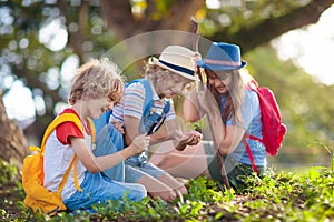 Kids explore nature. Children hike in sunny park