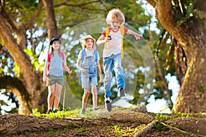 Kids explore nature. Children hike in sunny park