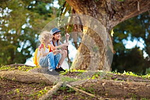 Kids explore nature. Children hike in sunny park