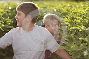 Kids exploring in nature