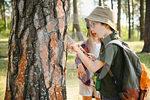 Kids exploring nature with magnifying glass. Summer activity for inquisitive child.