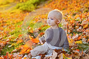 Kids fashion. Childhood memories. Child autumn leaves background. Warm moments of autumn. Toddler boy blue eyes enjoy