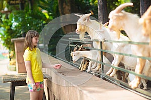 Kids feed animals at petting zoo