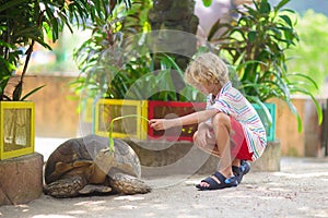 Kids feed animals at petting zoo