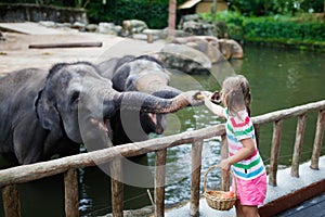 Kids feed elephant in zoo. Family at animal park.