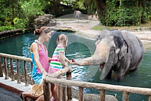 Kids feed elephant in zoo. Family at animal park.