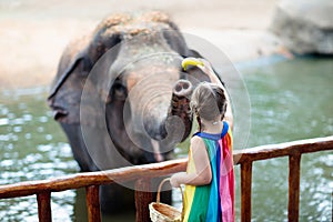 Kids feed elephant in zoo. Family at animal park.