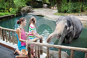 Kids feed elephant in zoo. Family at animal park