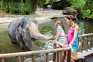 Kids feed elephant in zoo. Family at animal park