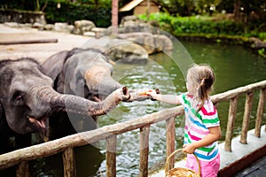 Kids feed elephant in zoo. Family at animal park