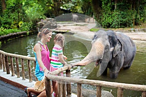 Kids feed elephant in zoo. Family at animal park