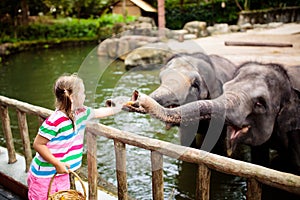 Kids feed elephant in zoo. Family at animal park