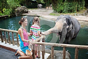 Kids feed elephant in zoo. Family at animal park. photo