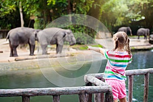 Kids feed elephant in zoo. Family at animal park photo