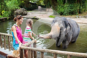 Kids feed elephant in zoo. Family at animal park