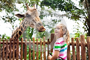 Kids feed giraffe at zoo. Children at safari park.