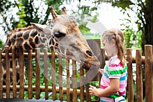 Kids feed giraffe at zoo. Children at safari park.