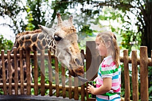 Kids feed giraffe at zoo. Children at safari park.