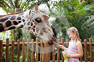 Kids feed giraffe at zoo. Children at safari park