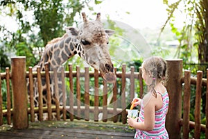 Kids feed giraffe at zoo. Children at safari park