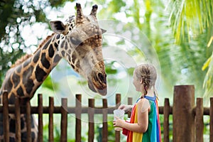 Kids feed giraffe at zoo. Children at safari park