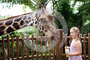 Kids feed giraffe at zoo. Children at safari park