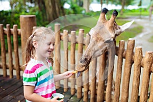 Kids feed giraffe at zoo. Children at safari park